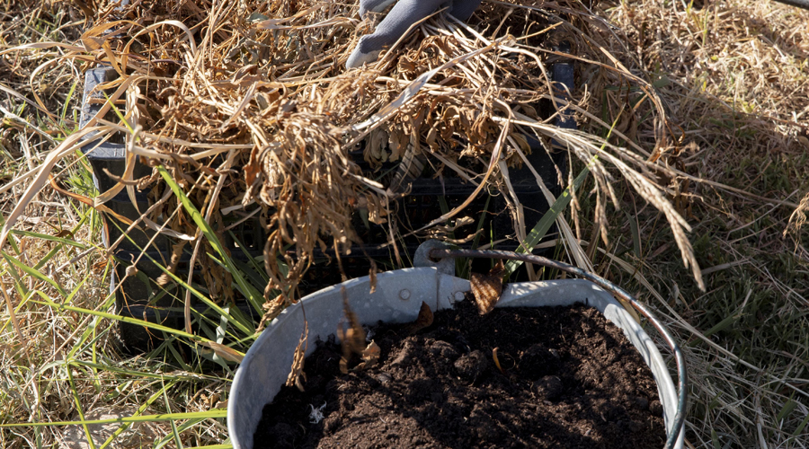 Compost creat a base de restes vegetals