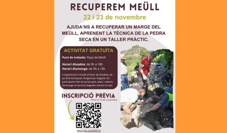 El cartell anunciador del curs