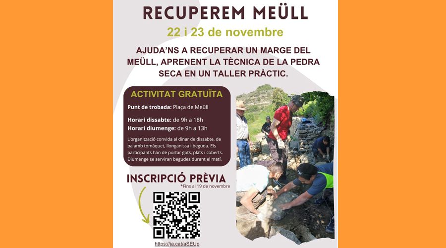 El cartell anunciador del curs