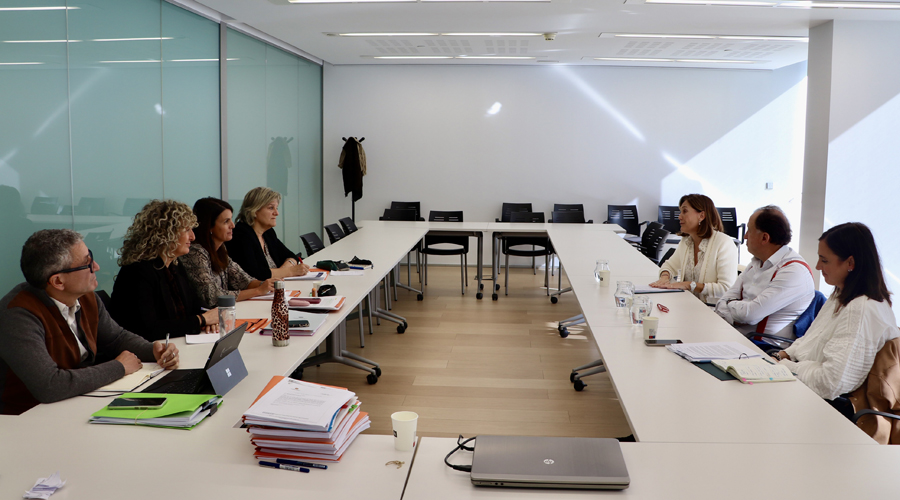 Representants de Demòcrates reunits amb membres de l'EFA (Consell General)