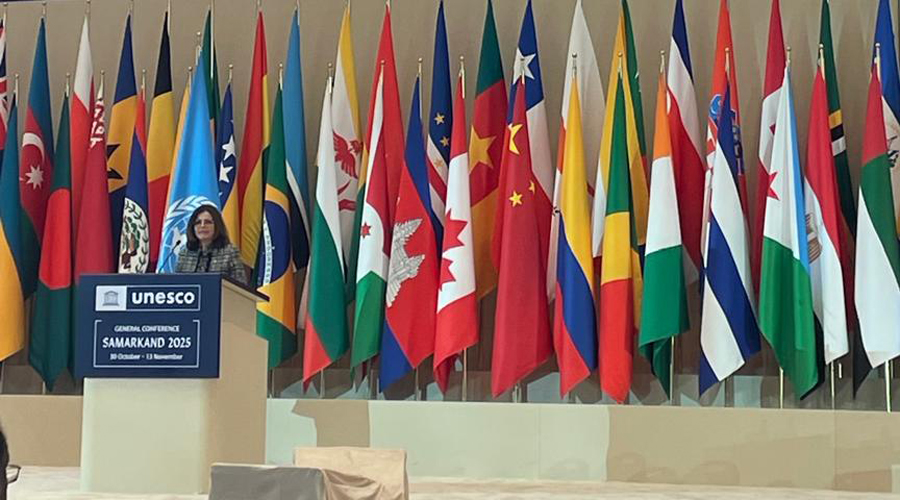 La ministra, Imma Tor, durant la seva compareixença (SFGA)