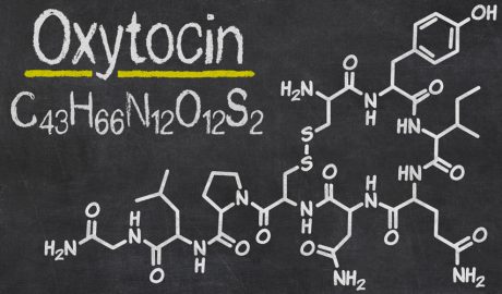 La funció de l'oxitocina és especialment destacada en el cos femení