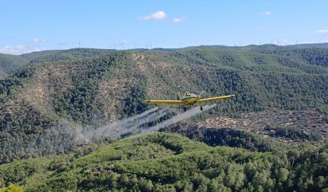 Un dels vols realitzats per a tractar la plaga