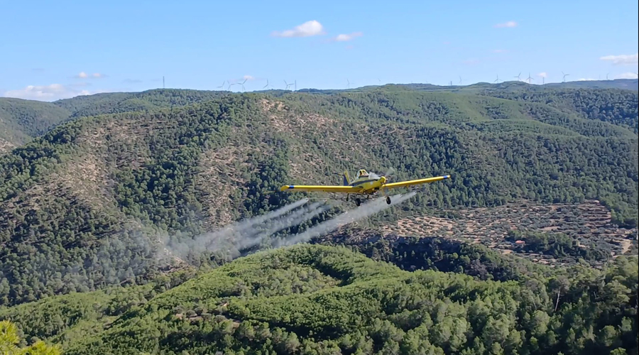 Un dels vols realitzats per a tractar la plaga (Govern.cat)