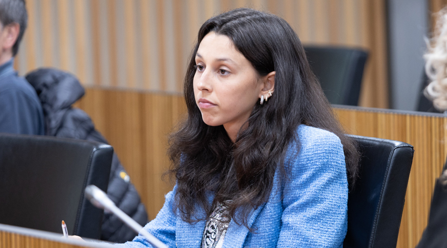 La consellera general socialdemòcrata, Laia Moliné, en una imatge d'arxiu