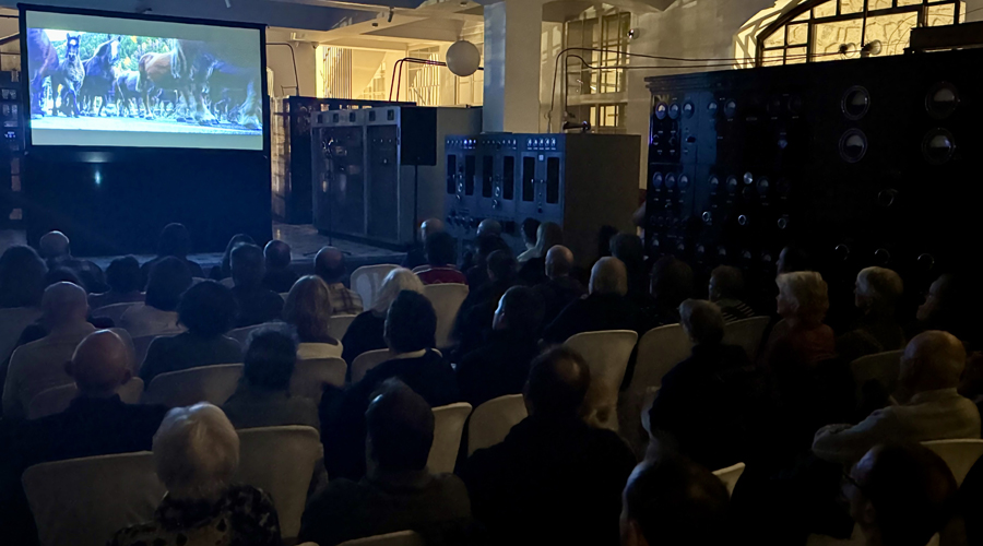 Una de les projeccions de la mostra