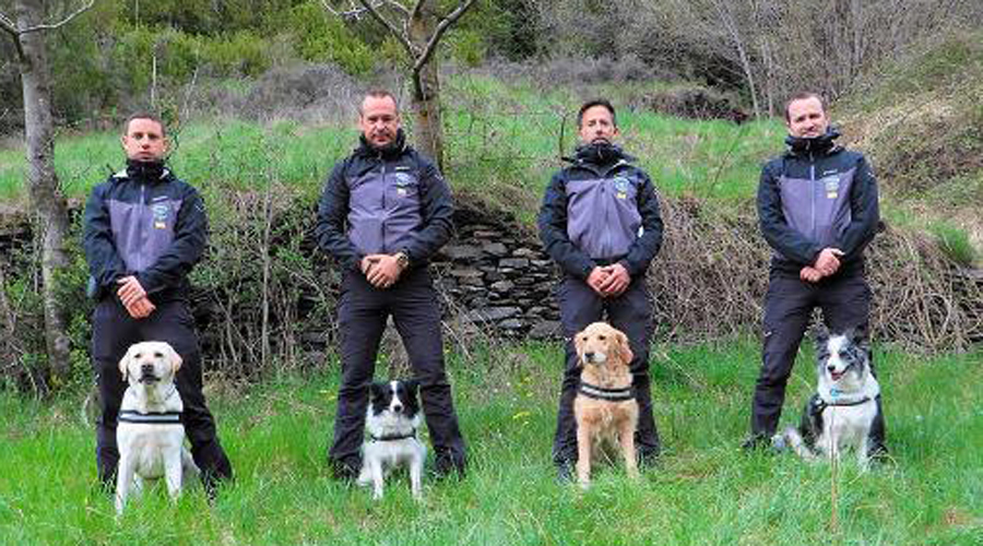 El grup caní del Cos de Banders (SFGA)