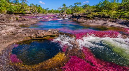 Les tonalitats úniques de Caño Cristales