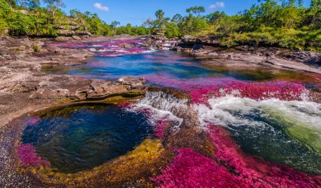 Les tonalitats úniques de Caño Cristales