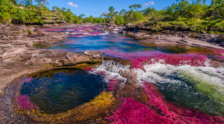 Les tonalitats úniques de Caño Cristales