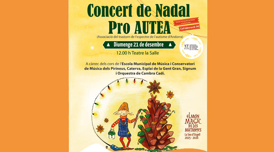 Cartell anunciant el Concert de Nadal a favor d'AUTEA (Aj. la Seu)