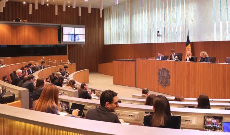 Sessió del Consell General, aquest dijous