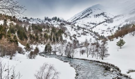 El Parc Natural de l'Alt Pirineu
