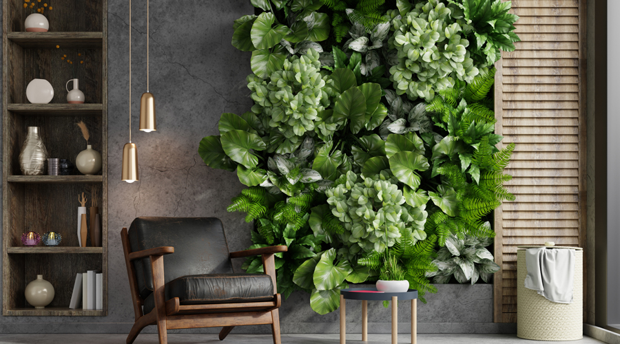 Jardí vertical a l'interior d'una llar