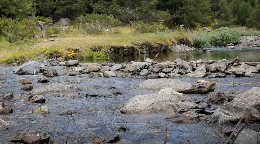 Els treballs s'han adjudicat per 237.706,46 euros (SFGA)