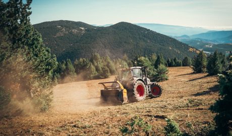 Recuperació de terrenys per a pastures al municipi de Soriguera