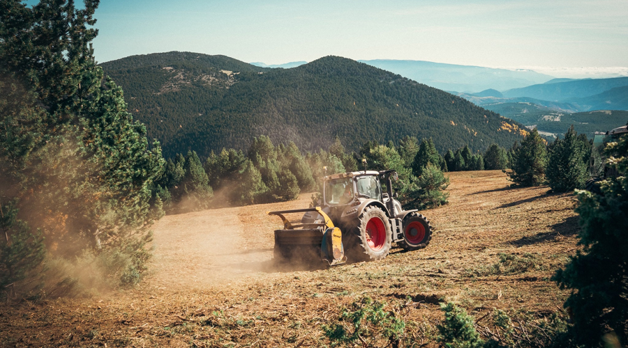 Recuperació de terrenys per a pastures al municipi de Soriguera (Foto: CC Pallars Sobirà)