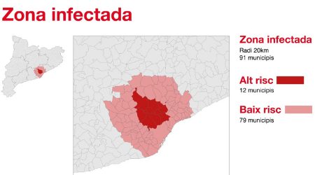 Zona infectada a Catalunya per la pesta porcina africana