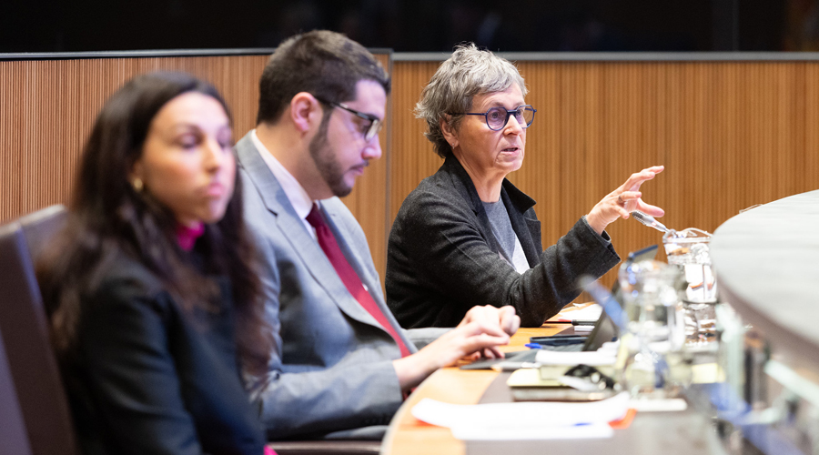 Laia Moliné, Pere Baró i Susanna Vela (Consell General)