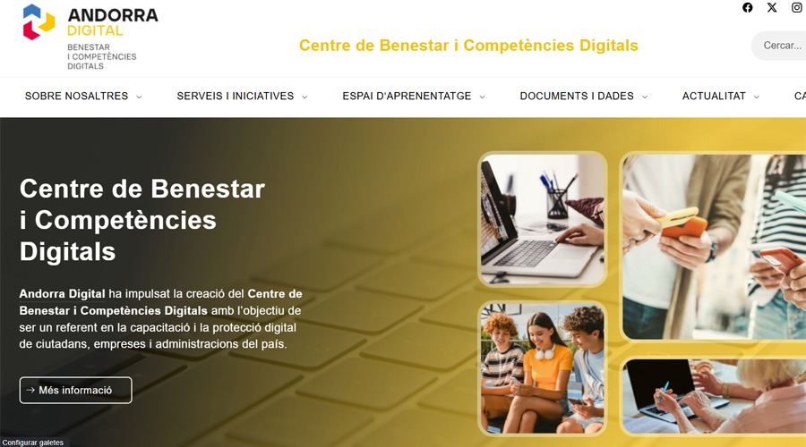 Captura d'imatge de la nova pàgina web