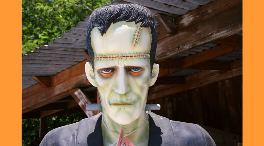 Una caracterització del personatge de Frankenstein