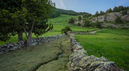 Una imatge de Ransol