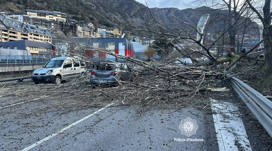 L'arbre caigut talla completament la via (Policia d'Andorra)