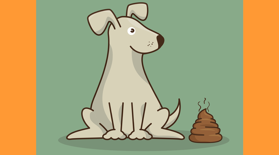 Els excrements d'animals a la via pública sovint generen problemes de convivència