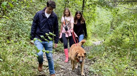 Unes persones passejant un gos del centre