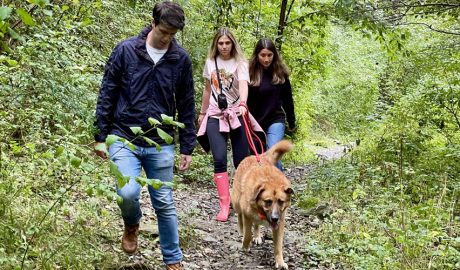 Unes persones passejant un gos del centre