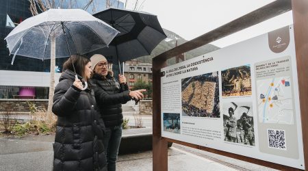 La cònsol major observant un dels panells instal·lats