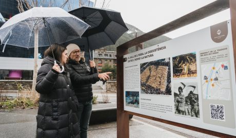 La cònsol major observant un dels panells instal·lats