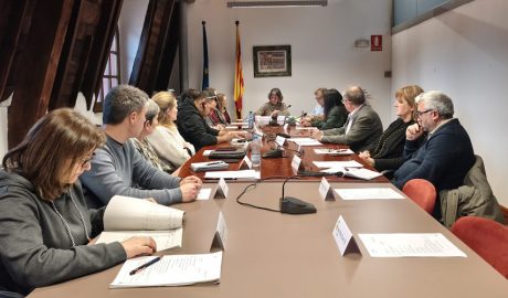 Ple del Consell Comarcal de l'Alt Urgell