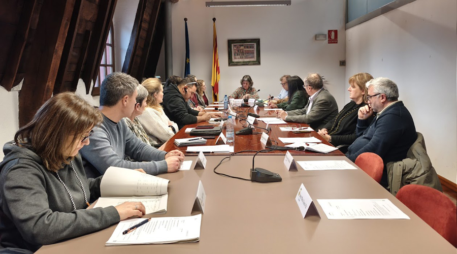 Ple del Consell Comarcal de l'Alt Urgell