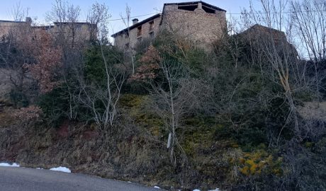 L'actuació té l'objectiu reduir la presència de combustible vegetal