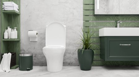 El vàter d'un lavabo