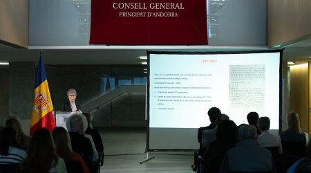 Susanna Vela durant la seva intervenció al curs