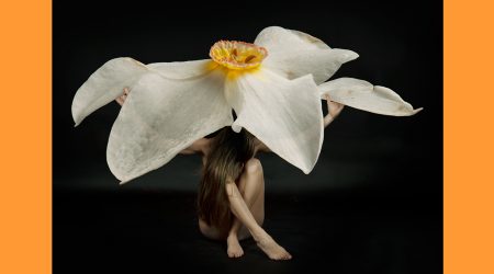 Una imatge d’una de les obres que s'exposaran