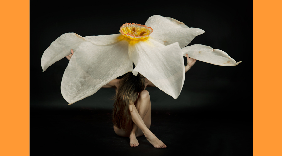 Una imatge d’una de les obres que s'exposaran. Foto: Ana Arce