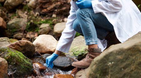 Amb l'ajut el Govern vol promoure l’excel·lència, la visibilitat i la internacionalització de la recerca