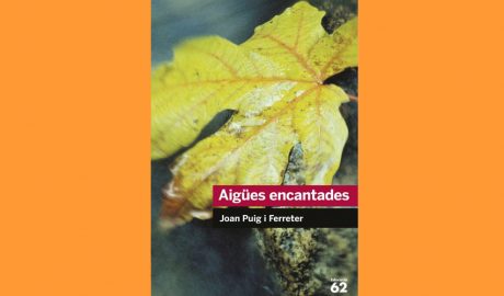 Coberta del llibre "Aigües encantades", de Joan Puig i Ferreter