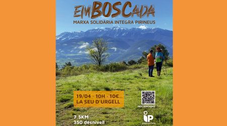 Cartell de la segona edició de l'Emboscada