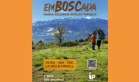 Cartell de la segona edició de l'Emboscada