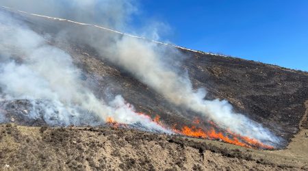 Una crema controlada al Pirineu català