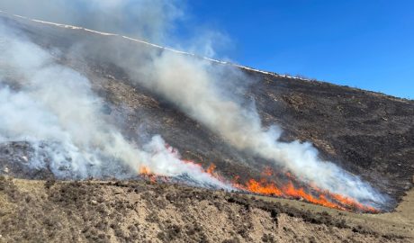 Una crema controlada al Pirineu català