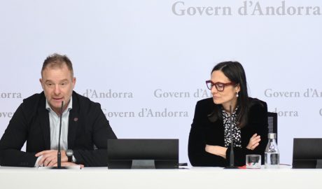 Compareixença de la ministra, Ester Molné