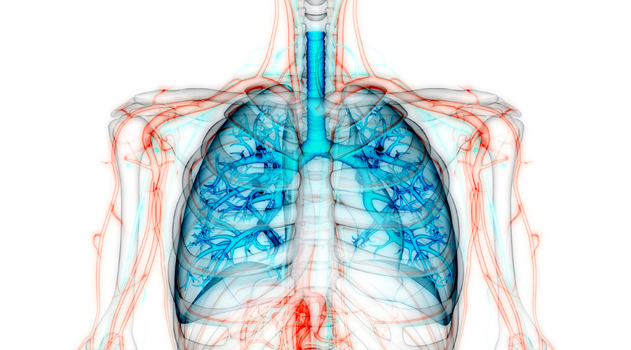 La fibrosi pulmonar dificulta la capacitat dels pulmons per a funcionar correctament