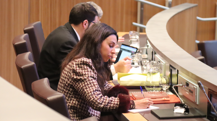 La consellera general socialdemòcrata, Laia Moliné (PS)