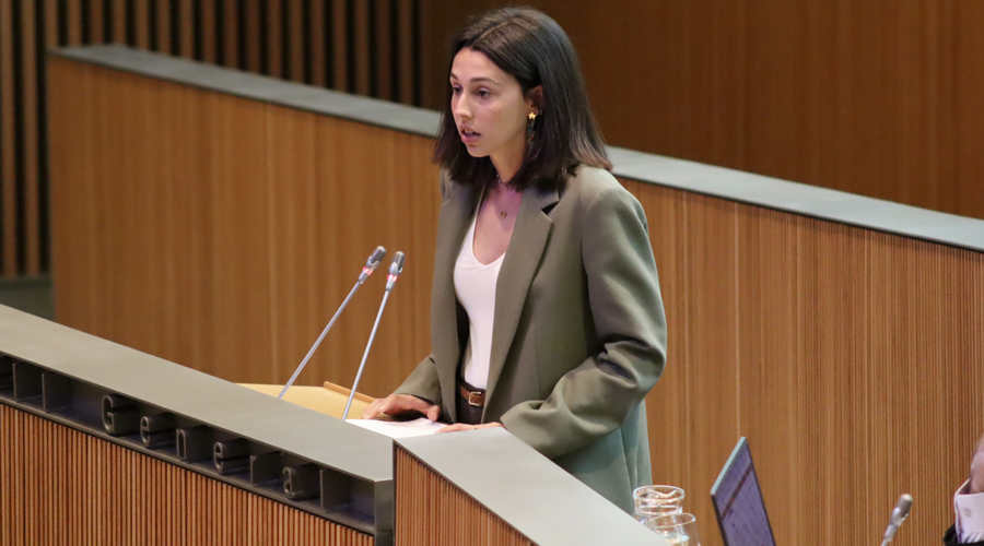 La consellera general socialdemòcrata, Laia Moliné