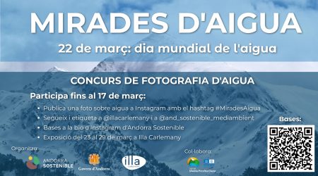 Cartell anunciador del concurs